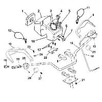 Ghidon sport