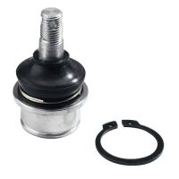 Pivoti