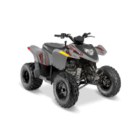 PHOENIX 200 AVALANCHE GREY
