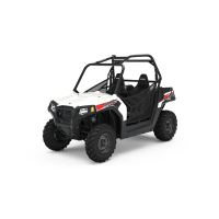 RZR 570 WHITE LIGHTNING L7e