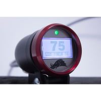 SENZOR TEMPERATURA CUREA 12' RED