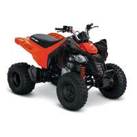 ATV CAN-AM DS 250 2023