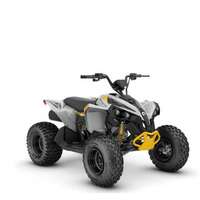 ATV CAN-AM RENEGADE 110 2023