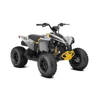 Can-Am Renegade STD 110 EFI 2024