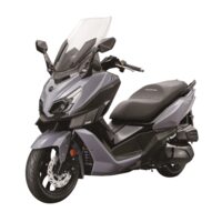 SYM Cruisym E5 300 2025