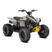 Can-Am Renegade EFI 110 2025