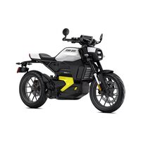 Can-Am PULSE Standard 11kw Bright White 2026