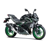  Kawasaki  Z500 SE GY1/RD1 2025