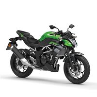 Kawasaki Z125 GN1 2026