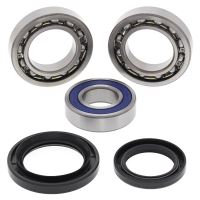 Kit rulmenti All Balls roata spate 25-1018