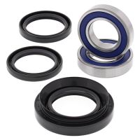 Kit rulmenti All Balls roata spate 25-1029