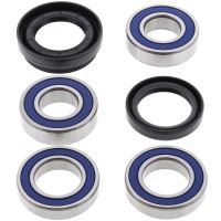 Kit rulmenti All Balls roata spate 25-1036