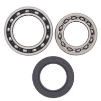 Kit rulmenti All Balls roata spate 25-1010