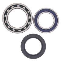 Kit rulmenti All Balls roata spate 25-1011
