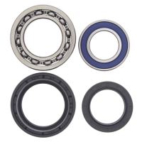 Kit rulmenti All Balls roata spate 25-1012