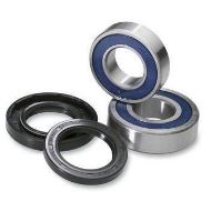 Kit  rulmenti roata moto