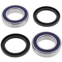 Kit rulmenti All Balls roata spate 25-1331