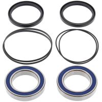 Kit rulmenti All Balls roata spate 25-1320