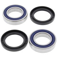 Kit rulmenti All Balls roata spate 25-1315