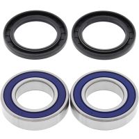 Kit rulmenti All Balls roata spate 25-1293