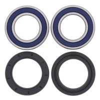 Kit rulmenti All Balls roata spate 25-1299