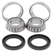 Kit rulmenti All Balls roata spate 25-1152