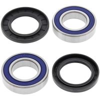 Kit rulmenti All Balls roata spate 25-1109