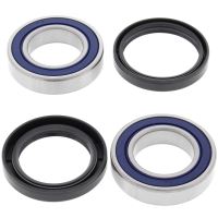 Kit rulmenti All Balls roata spate 25-1126