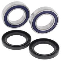 Kit rulmenti All Balls roata spate 25-1131