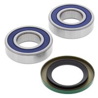Kit rulmenti All Balls roata spate 25-1518