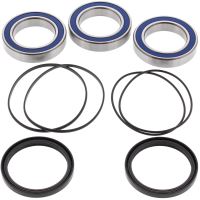 Kit rulmenti All Balls roata spate 25-1479