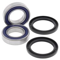 Kit rulmenti All Balls roata spate 25-1495