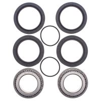 Kit rulmenti All Balls roata spate 25-1498