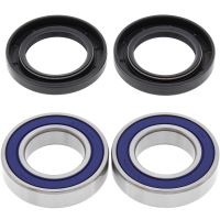Kit rulmenti All Balls roata spate 25-1396