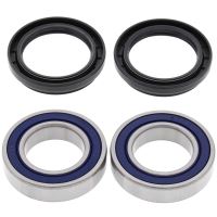 Kit rulmenti All Balls roata spate 25-1445