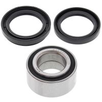 Kit rulmenti All Balls roata spate 25-1434