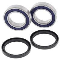 Kit rulmenti All Balls roata spate 25-1698
