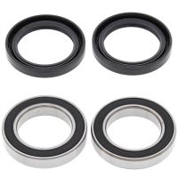 Kit rulmenti All Balls roata spate 25-1595