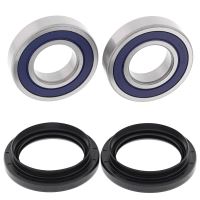 Kit rulmenti All Balls roata spate 25-1693