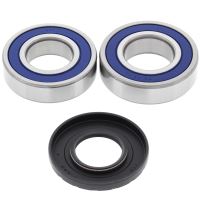 Kit rulmenti All Balls roata spate 25-1667