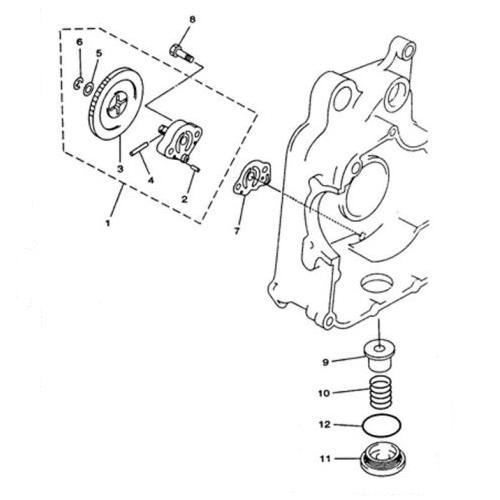 11. DOP DE SCURGERE  